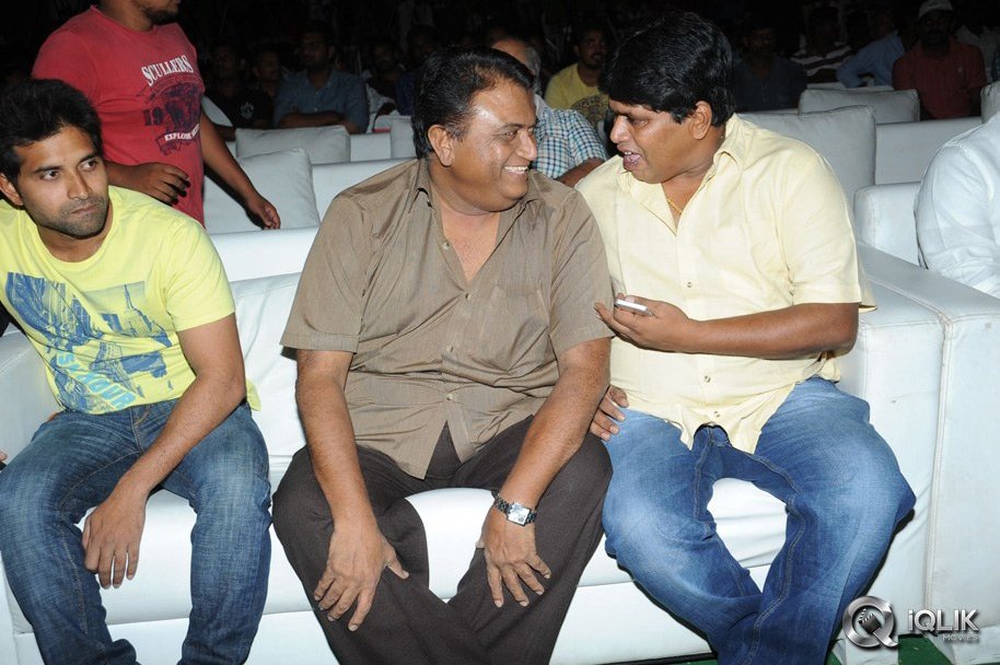 Race-Gurram-Movie-Success-Meet
